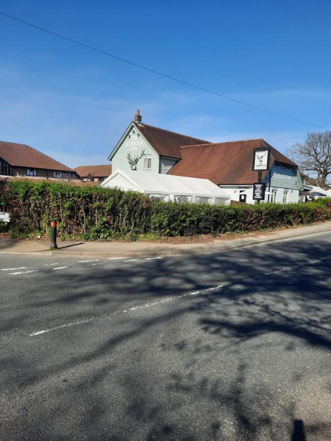 The Roebuck Bed & Breakfast *