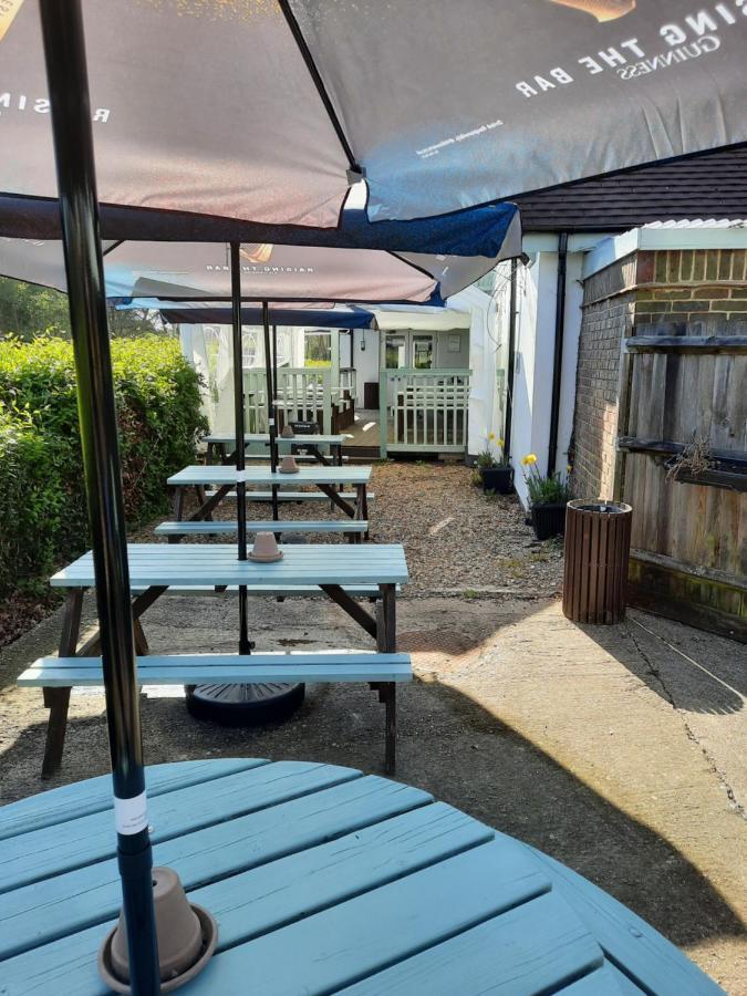 Bed & Breakfast The Roebuck