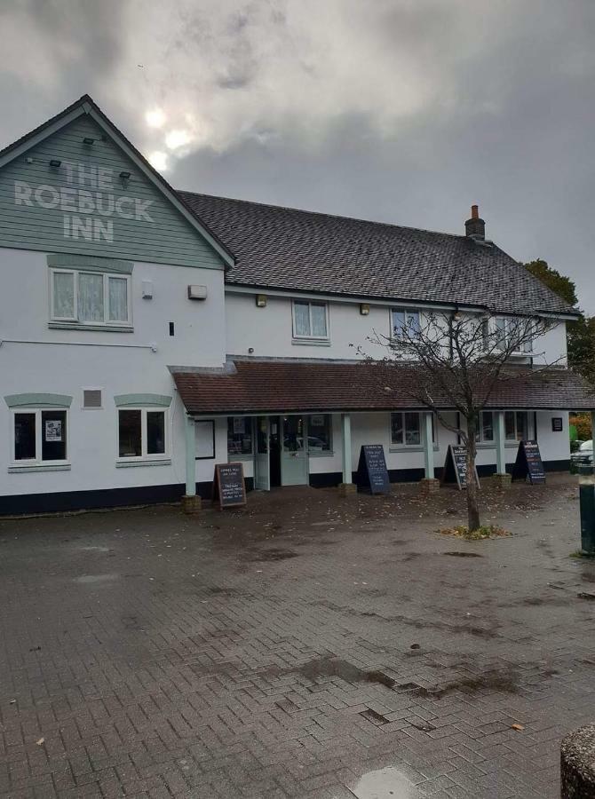 Bed & Breakfast The Roebuck Southampton